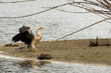 IMG_7857a.jpg